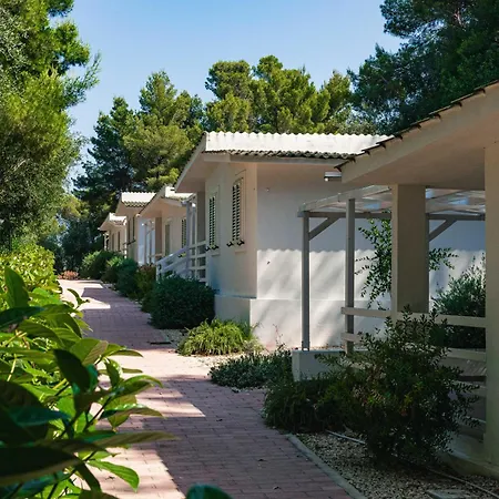 长滩野营村假日公园 3* 维耶斯泰