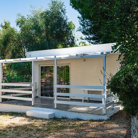 长滩野营村假日公园