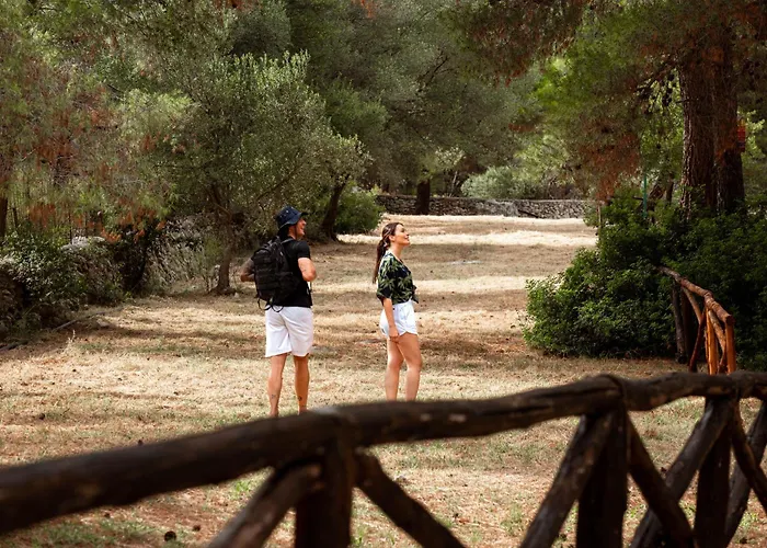 假日公园 长滩野营村假日公园 维耶斯泰