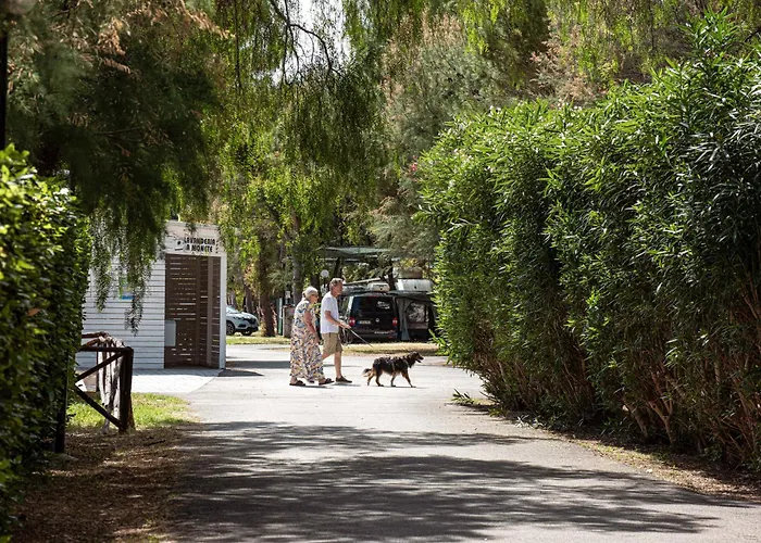 假日公园 长滩野营村假日公园 3*