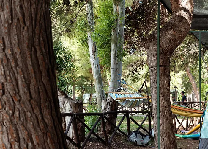 假日公园 长滩野营村假日公园 维耶斯泰